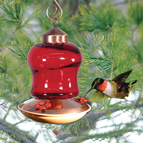 Audubon/Woodlink Ruby Glass Hummingbird Feeder NAH6