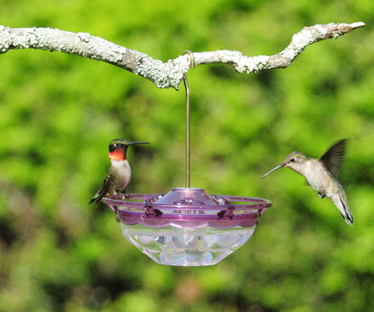 Aspects 434 HummZinger Humm Blossom Hummingbird Feeder