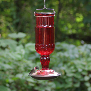 Perky-Pet 8119 Red Antique Glass Bottle Hummingbird Feeder 24 oz (1 or 2 Pack)