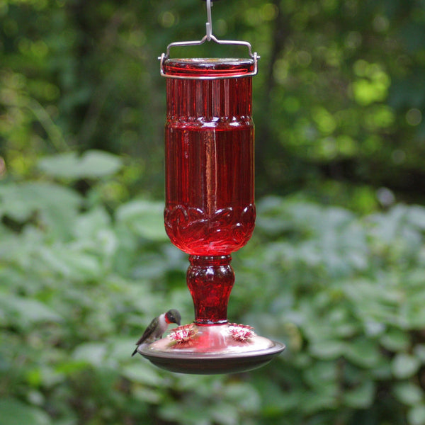 Perky-Pet 8119-2 Red Antique Glass Bottle Hummingbird Feeder 24 oz (1 ...