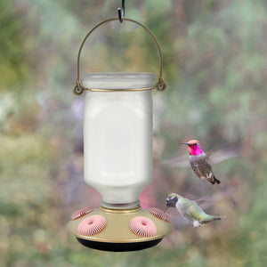 Perky-Pet Sun-Kissed Top-Fill Glass Hummingbird Feeder 22 oz