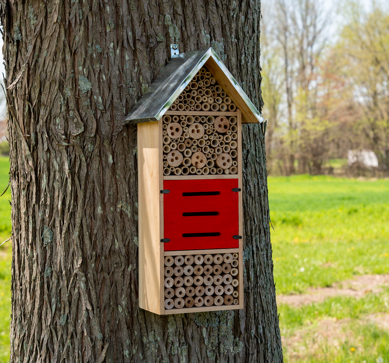 JCs Wildlife Tall Insect Hotel - Great for housing Mason Bees, Leaf-Cutter Bees