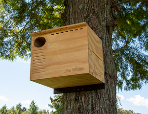 JCS Wildlife Barn Owl Nesting Box