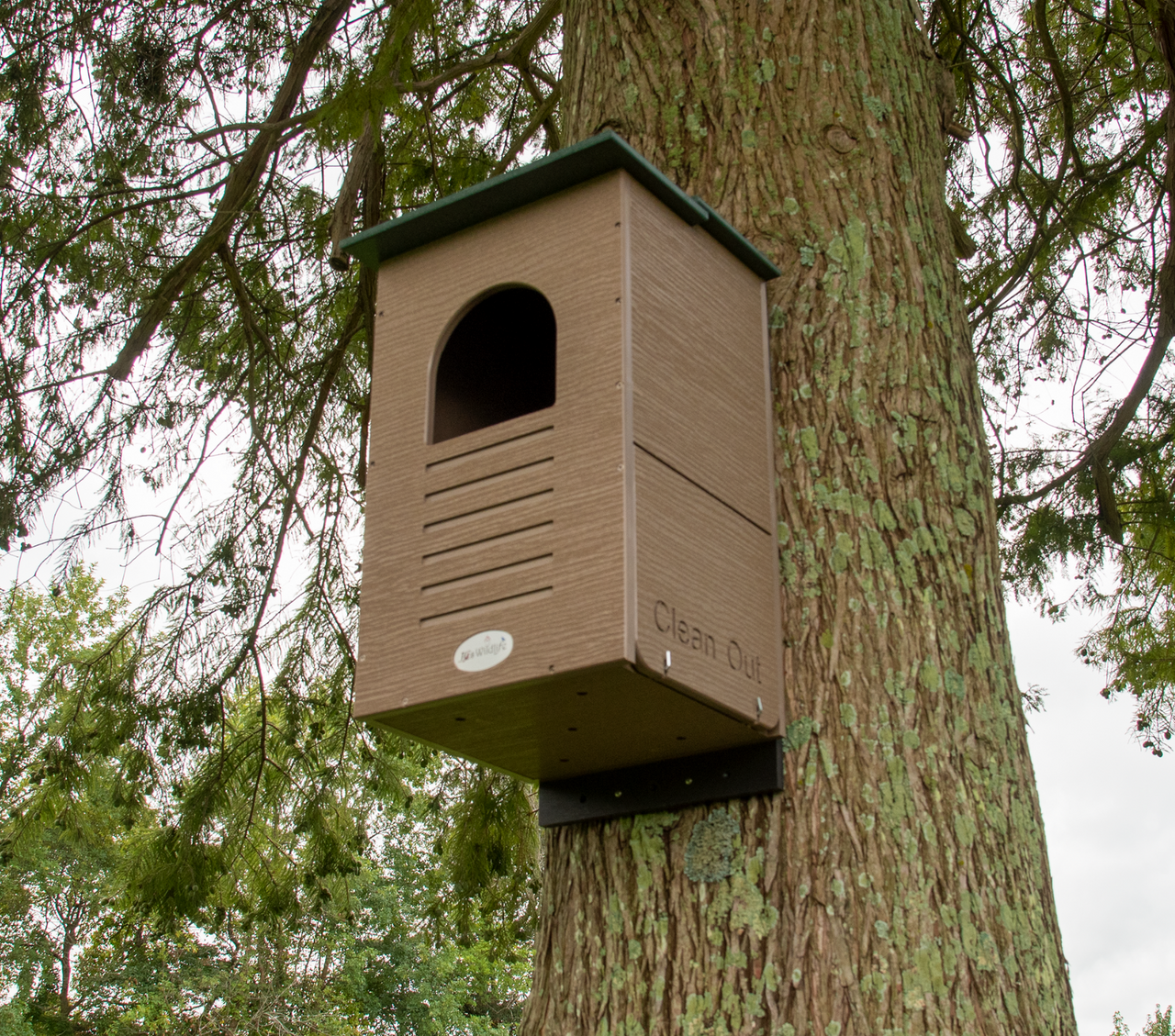 JCS Wildlife Recycled Poly Lumber Barred Owl Nesting Box