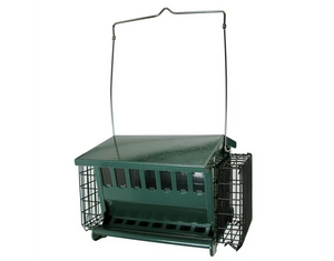 Mini Seeds N More Hopper Feeder by Heritage Farms with 2 suet cages