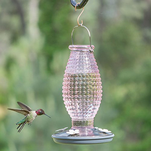 Perky-Pet 8131 Cranberry Hobnail Vintage-Style Glass Hummingbird Feeder