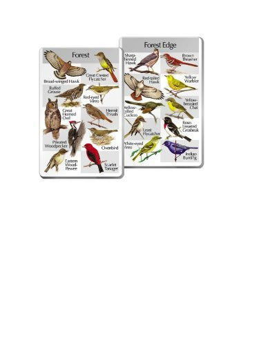 Identiflyer Lyric 3 Super SongCard Set, 60 Bird Songs and Lyrics, SSC36