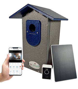 JCS Wildlife Smart Bluebird House - Wi-Fi Camera & Solar Powered Birdhouse, Live Streaming, Bird Nest Monitoring