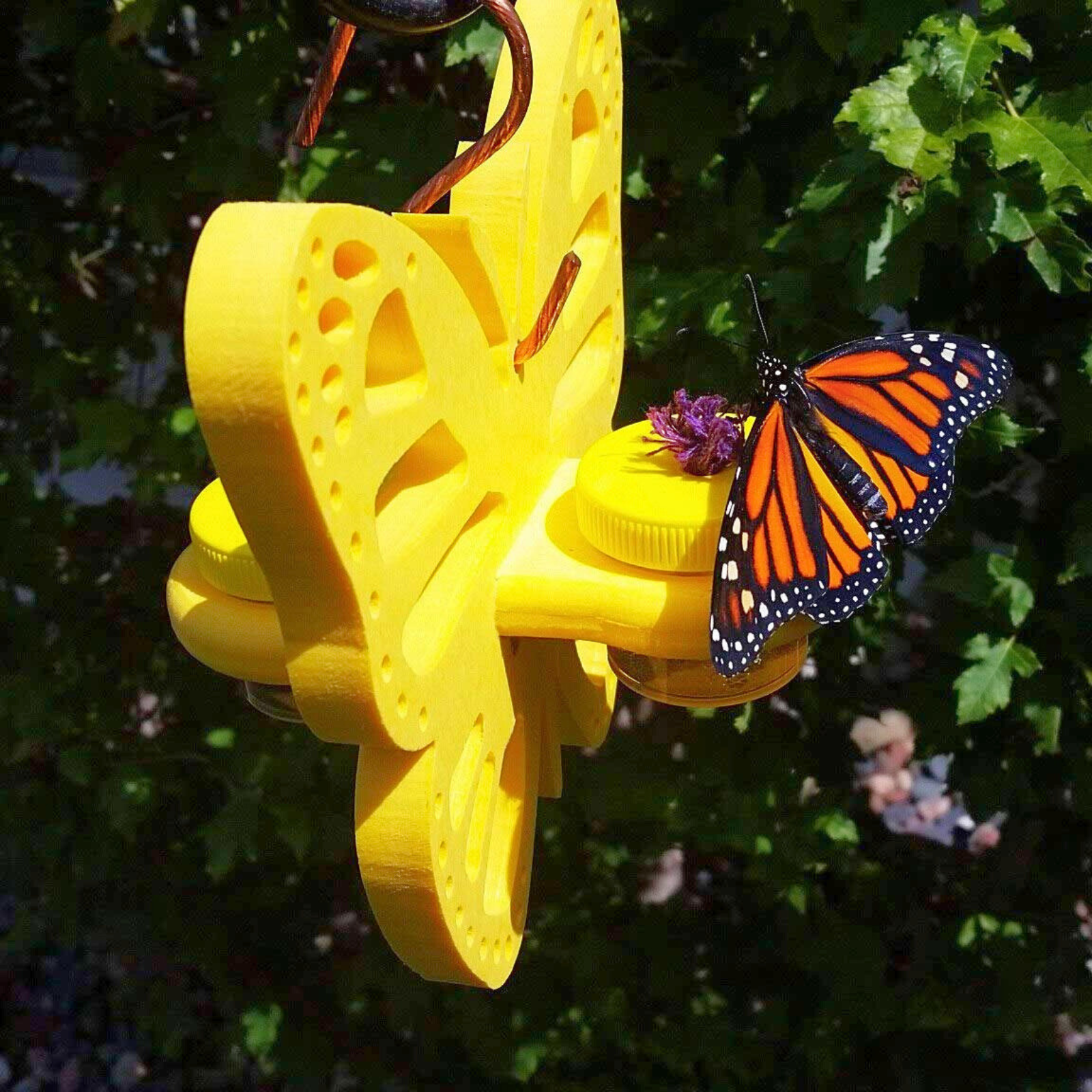 Butterfly Feeder with Double Nectar Dots