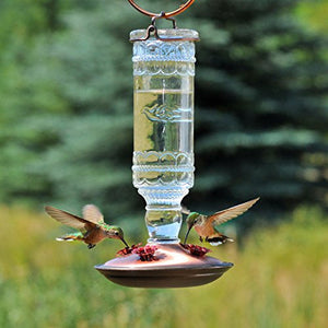 Perky-Pet 8107 Antique Bottle Glass HummingBird Feeder - Clear 10 oz.