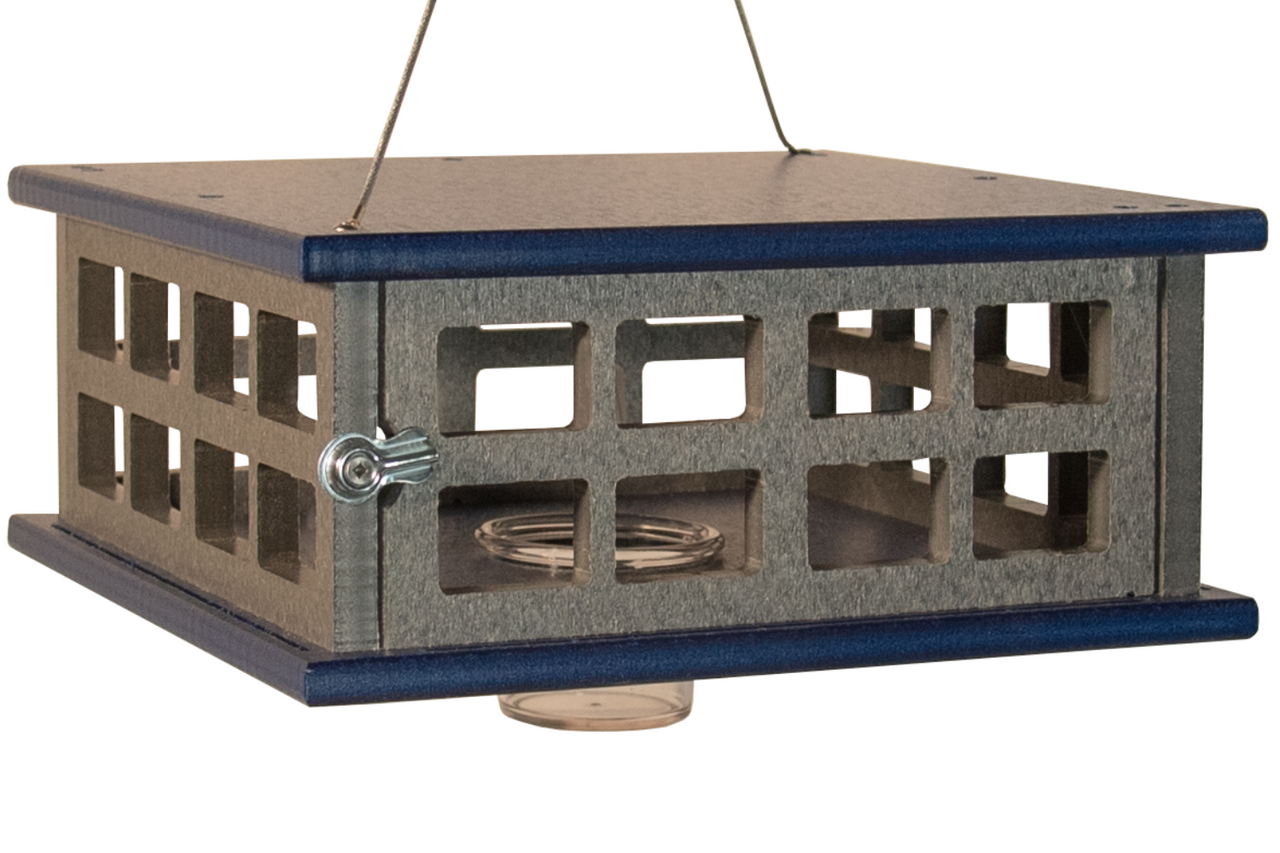 (#BBF-45)  Caged Bluebird Feeder