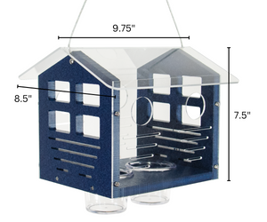 JCS Wildlife Enclosed Bluebird Feeder 2.0