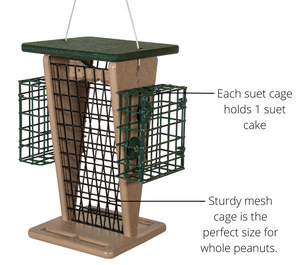 JCS Wildlife Whole Peanut Feeder With 2 Suet Cages - Great for Woodpeckers and Peanut Loving Birds!