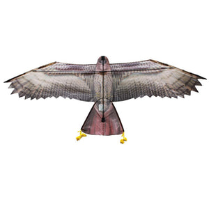 In The Breeze 3D Supersize Hawk Kite