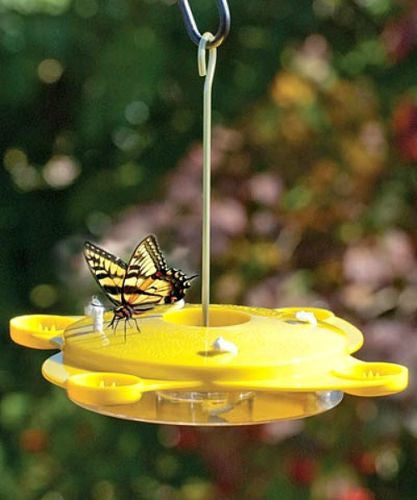 Audubon/Woodlink Butterfly Fruit & Wick Feeder NABFLY