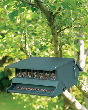 Audubon Original Bird's Choice Squirrel-Resistant Feeder Green Woodlink Delight 7511