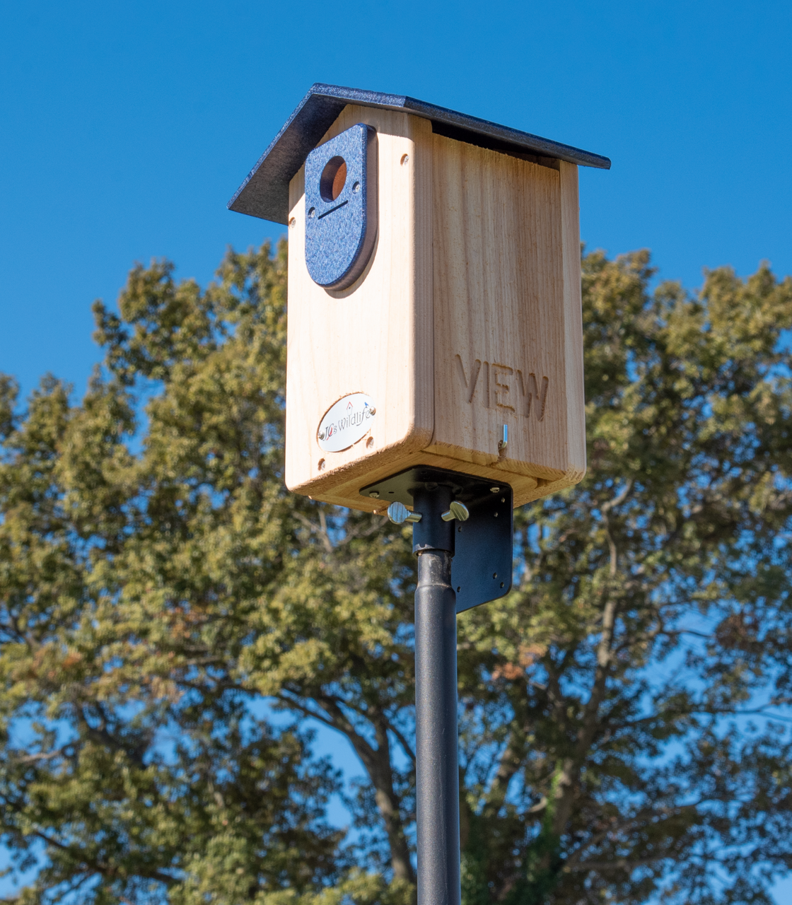 Cedar Ultimate Bluebird House (Blue)