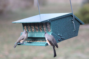 Audubon Original Bird's Choice Squirrel-Resistant Feeder Green Woodlink Delight 7511