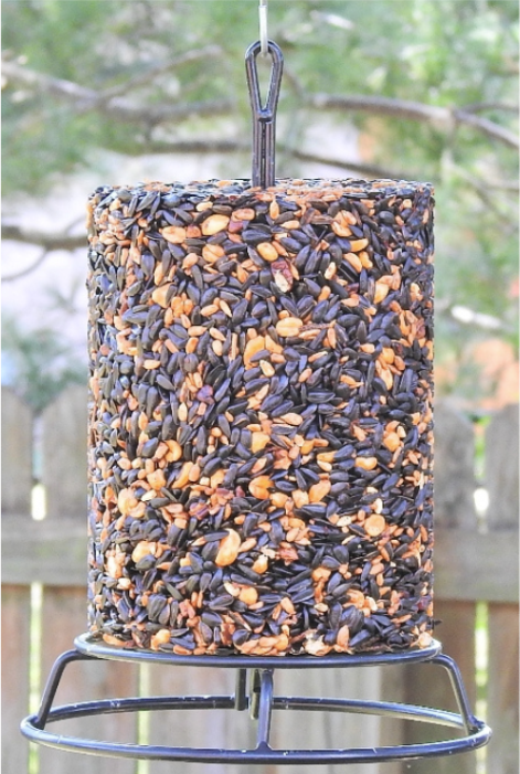 Bird Seed Cylinder Feeder