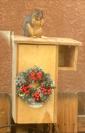 JCS  Wildlife Plywood Squirrel House Nesting Box