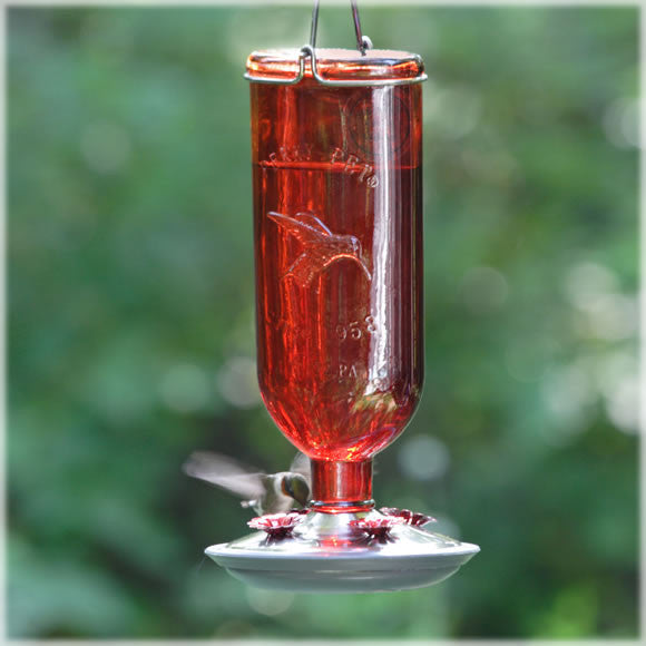 Perky-Pet 8109 Red Antique Glass Bottle Hummingbird Feeder 16-Ounce