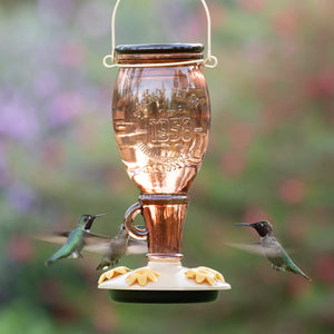 Perky-Pet Sugar Maple Top-Fill Glass Hummingbird Feeder 24 oz