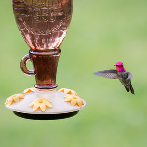 Perky-Pet Sugar Maple Top-Fill Glass Hummingbird Feeder 24 oz