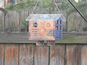 JCS Wildlife Enclosed Bluebird Feeder 2.0