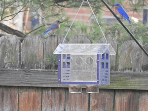 JCS Wildlife Enclosed Bluebird Feeder 2.0