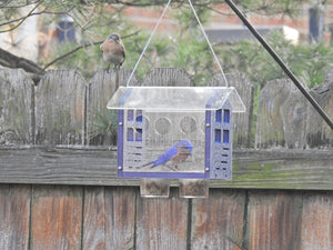 JCS Wildlife Enclosed Bluebird Feeder 2.0