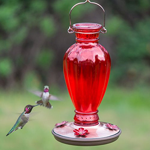 Perky-Pet 8133 Red Daisy Vase Vintage-Style Glass Hummingbird Feeder