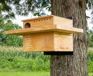 (#OWL-20)  3 Sided Platform Barn Owl Box