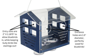 JCS Wildlife Enclosed Bluebird Feeder 2.0