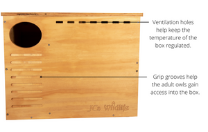 JCS Wildlife Barn Owl Nesting Box