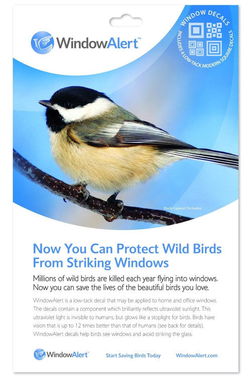 Window Alert 4 Modern Square Decals Protect Wild Birds