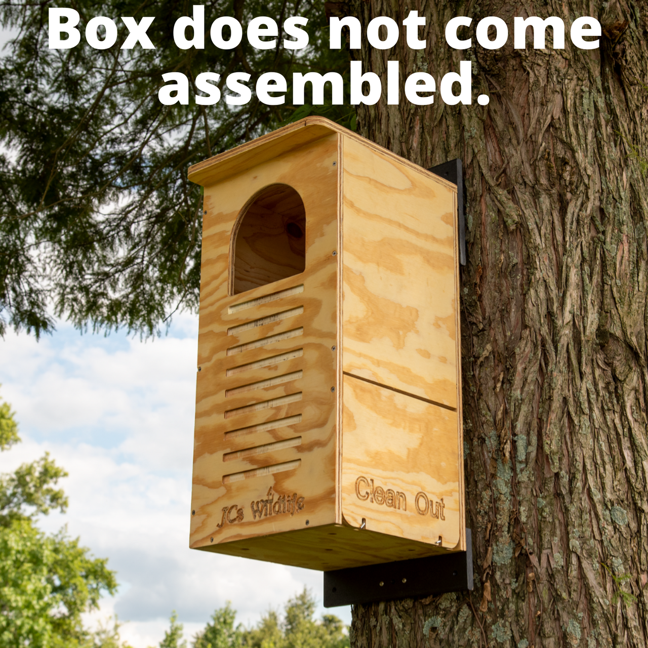 Barred Owl Box Do It Yourself Assembly Kit