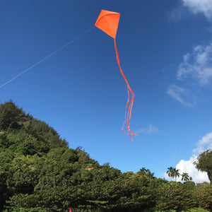 In the Breeze Orange Colorfly 30" Diamond Kite