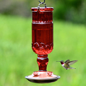 Perky-Pet 8119 Red Antique Glass Bottle Hummingbird Feeder 24 oz (1 or 2 Pack)