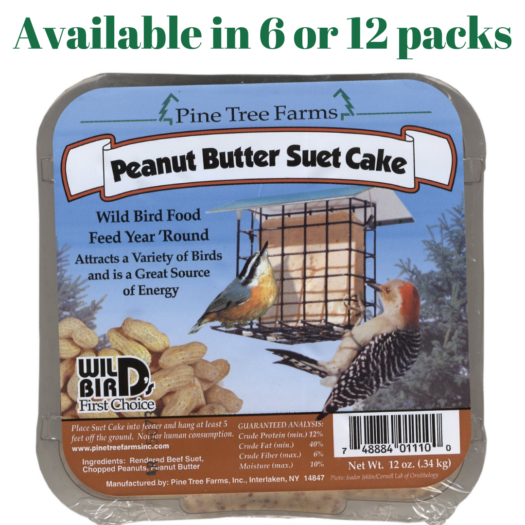 Pine Tree Farms Peanut Butter Suet Cakes Wild Bird Food (6 or 12 Packs)