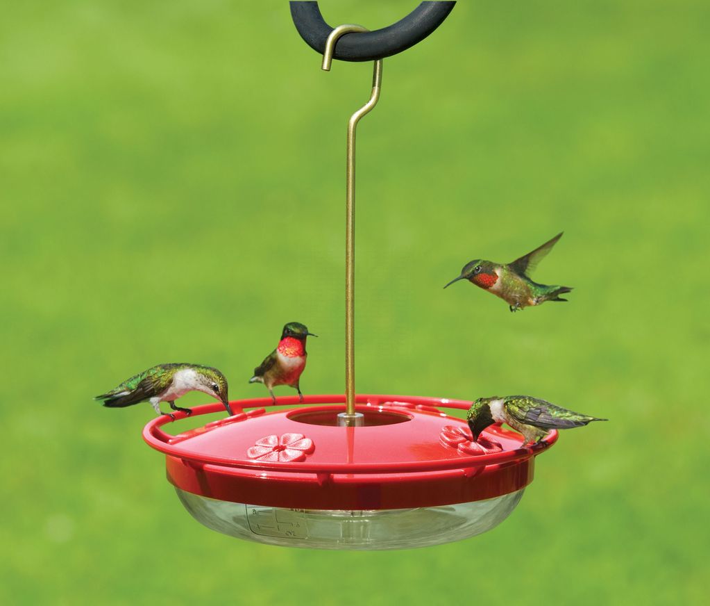 Aspects 429  HummZinger HighView 12 Oz Hanging Hummingbird Feeder, Red