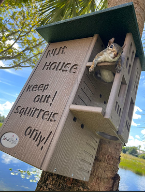 Poly Squirrel House