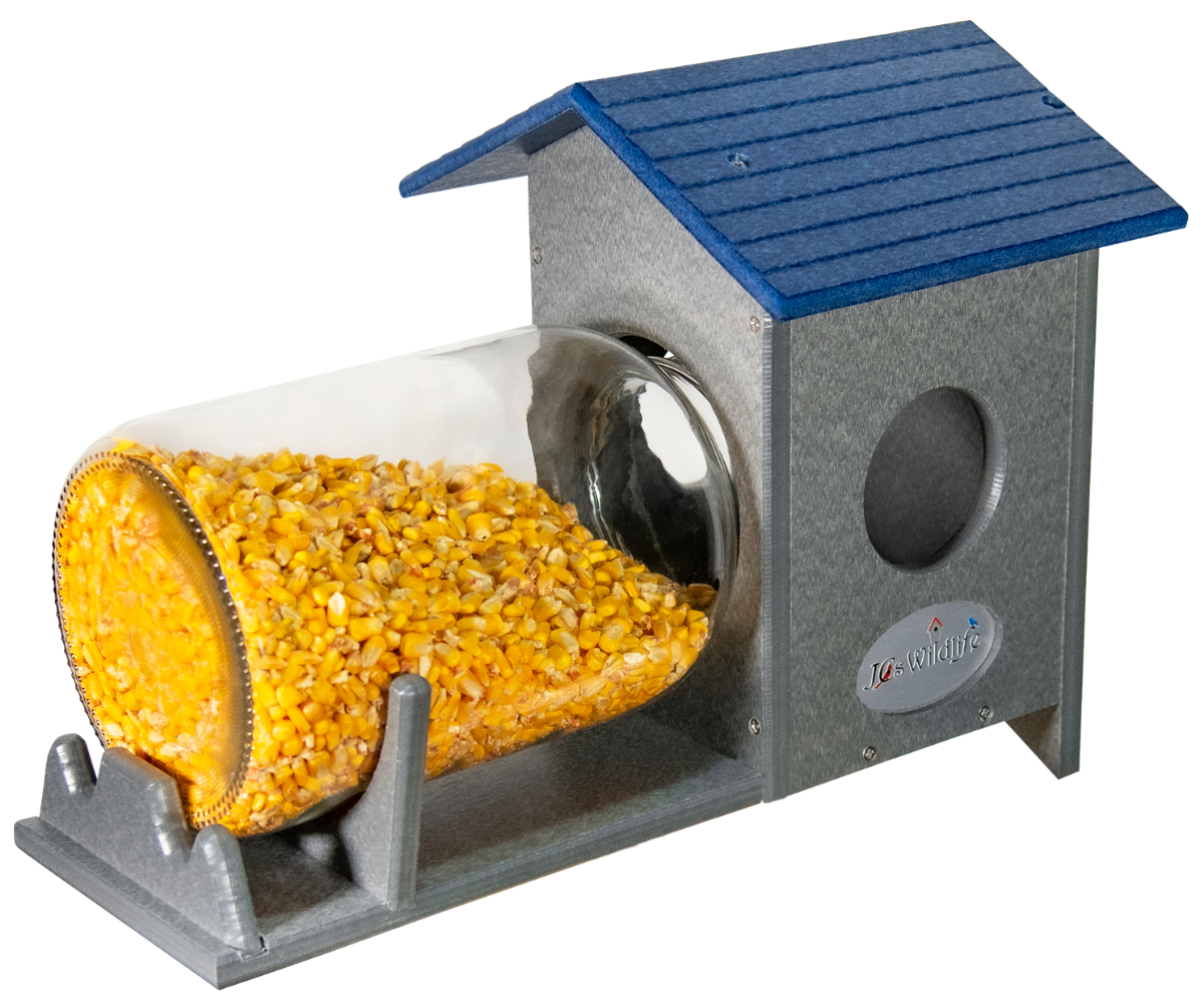 Squirrel Under Glass Feeder