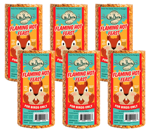 Mr. Bird Flaming Hot Feast Small Wild Bird Seed Cylinder 19 oz.