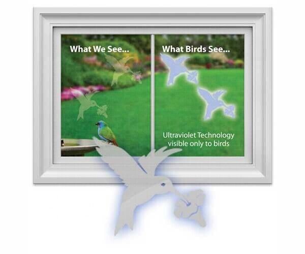 Window Alert 4 Hummingbird Decals Protect Wild Birds