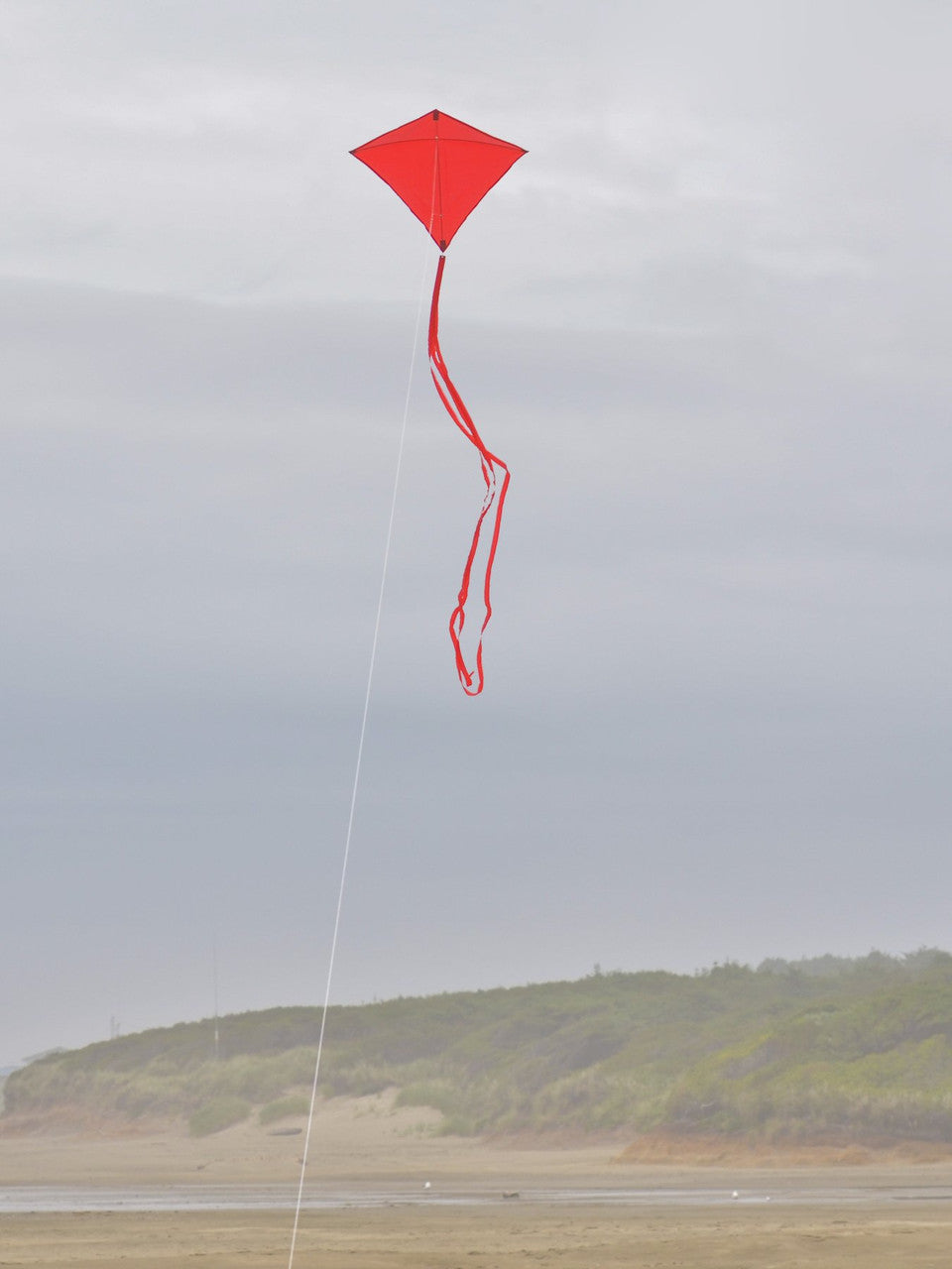 In the Breeze Red Colorfly 30" Diamond Kite