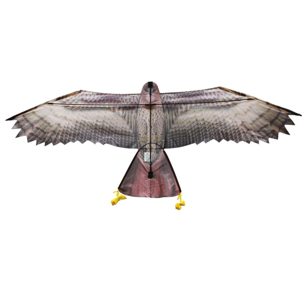 In The Breeze 3D Supersize Hawk Kite